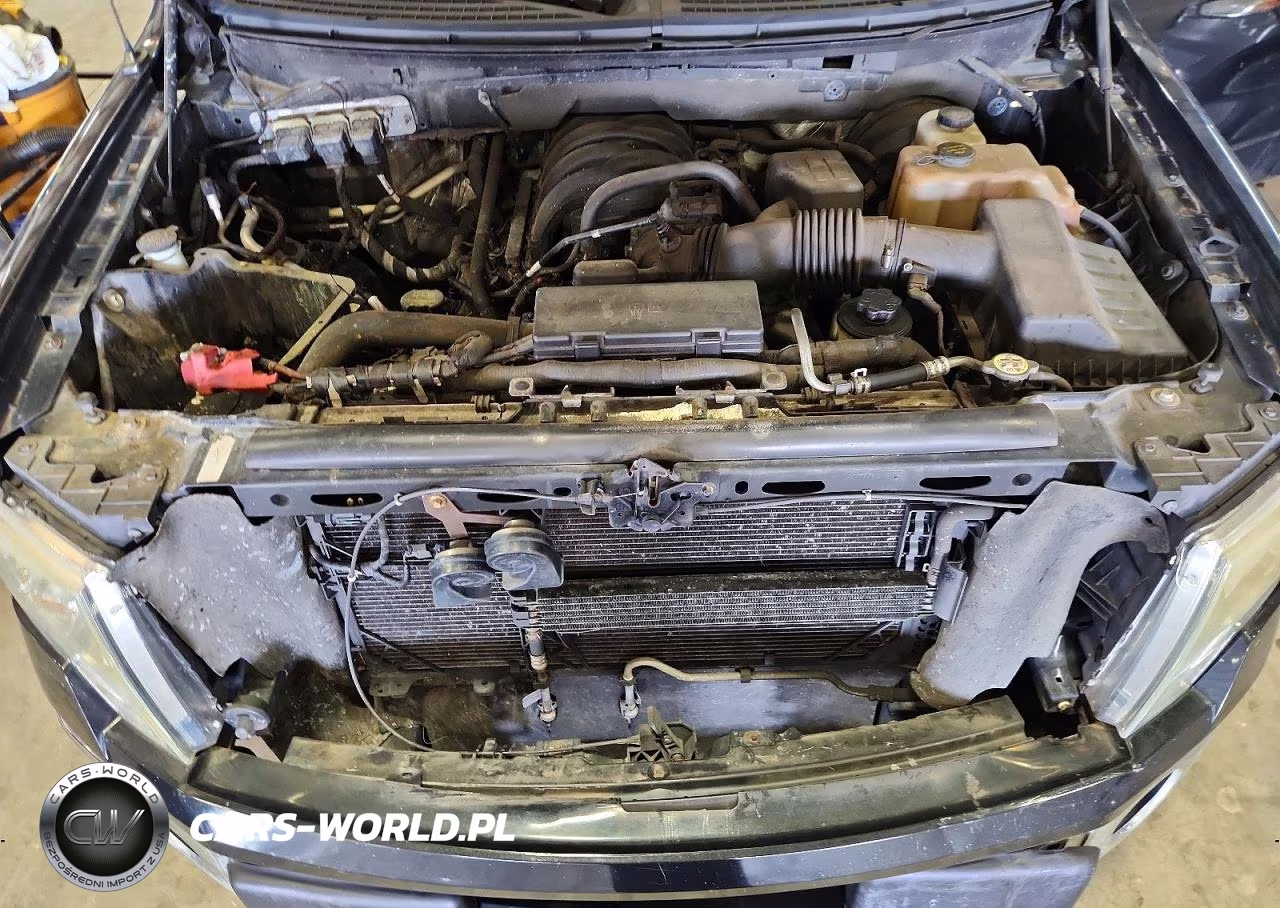 2010 Ford F150 Supercrew VIN:1FTEW1C82AKA22969 - 11
