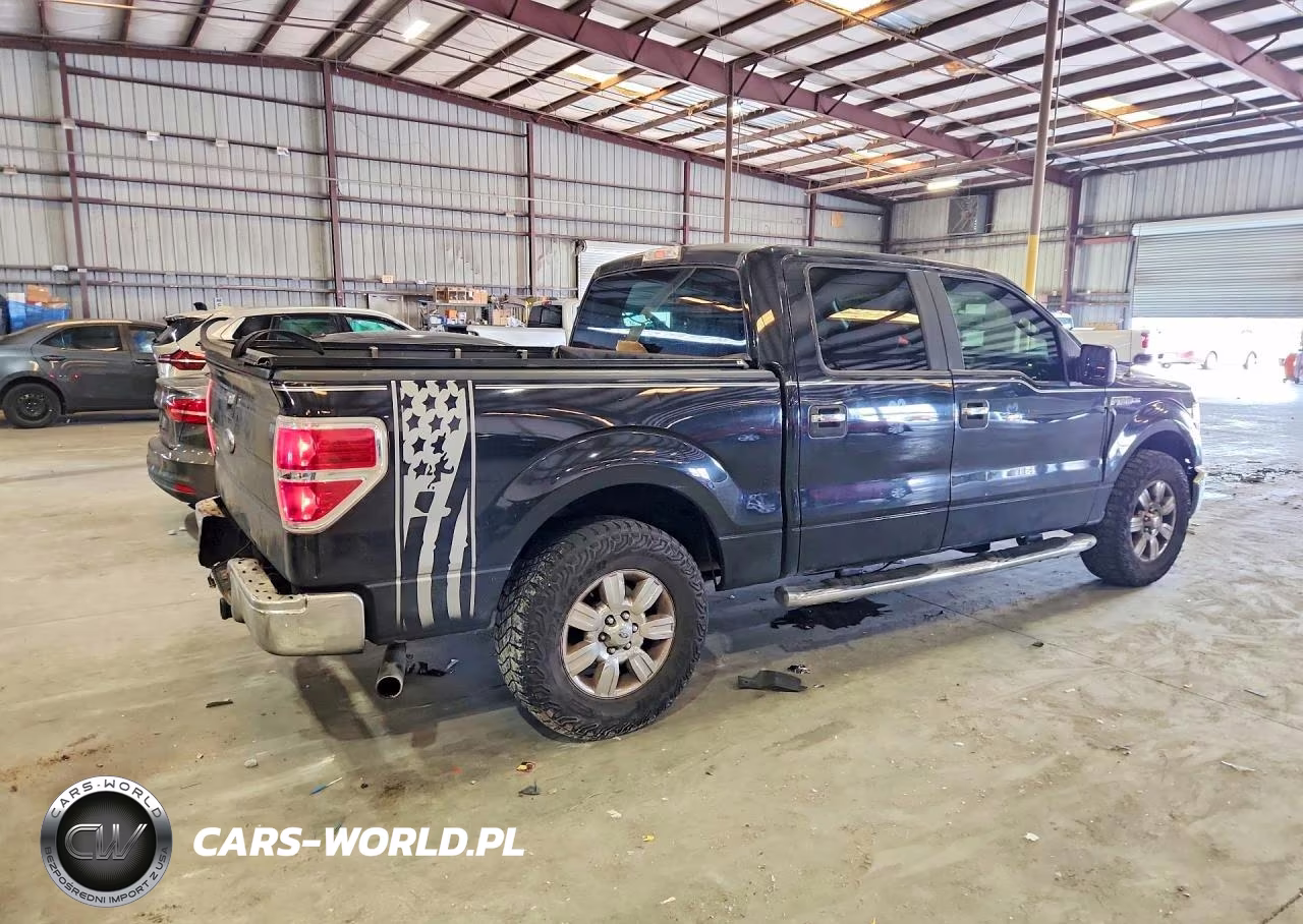 2010 Ford F150 Supercrew VIN:1FTEW1C82AKA22969 - 3