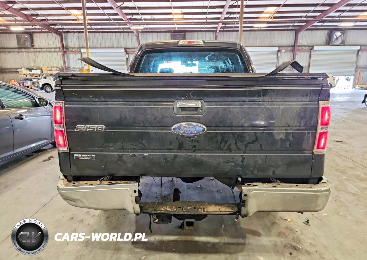 2010 Ford F150 Supercrew VIN:1FTEW1C82AKA22969 - 6