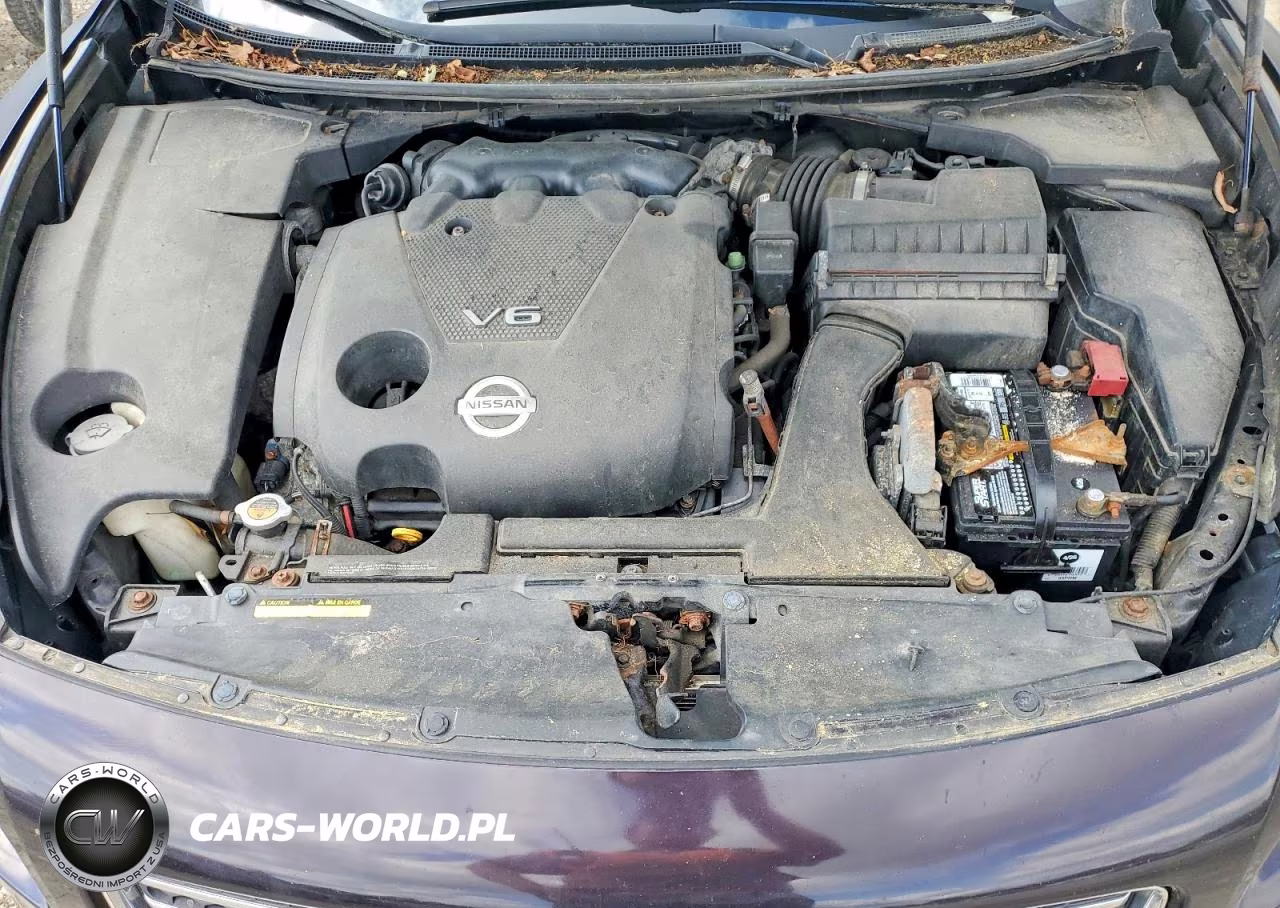 2010 Nissan Maxima 3.5 S VIN:1N4AA5AP6AC821054 - 11