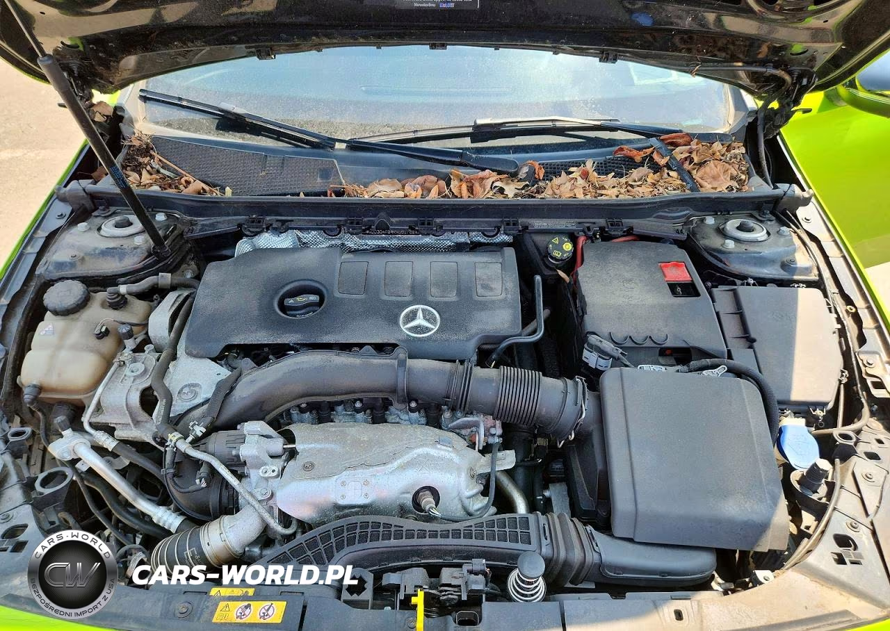 2019 Mercedes-Benz A 220 4Matic VIN:WDD3G4FB4KW001702 - 11
