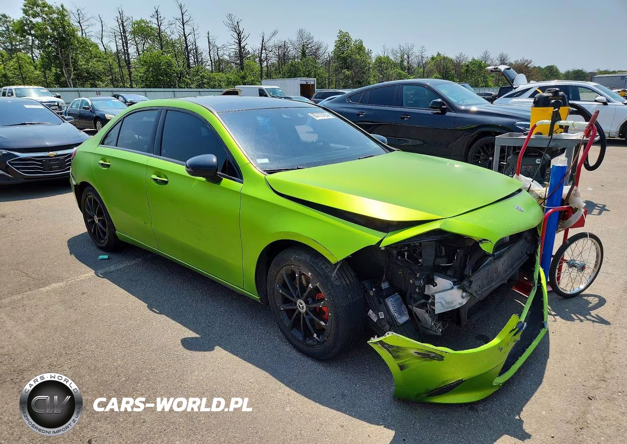 2019 Mercedes-Benz A 220 4Matic VIN:WDD3G4FB4KW001702 - 4