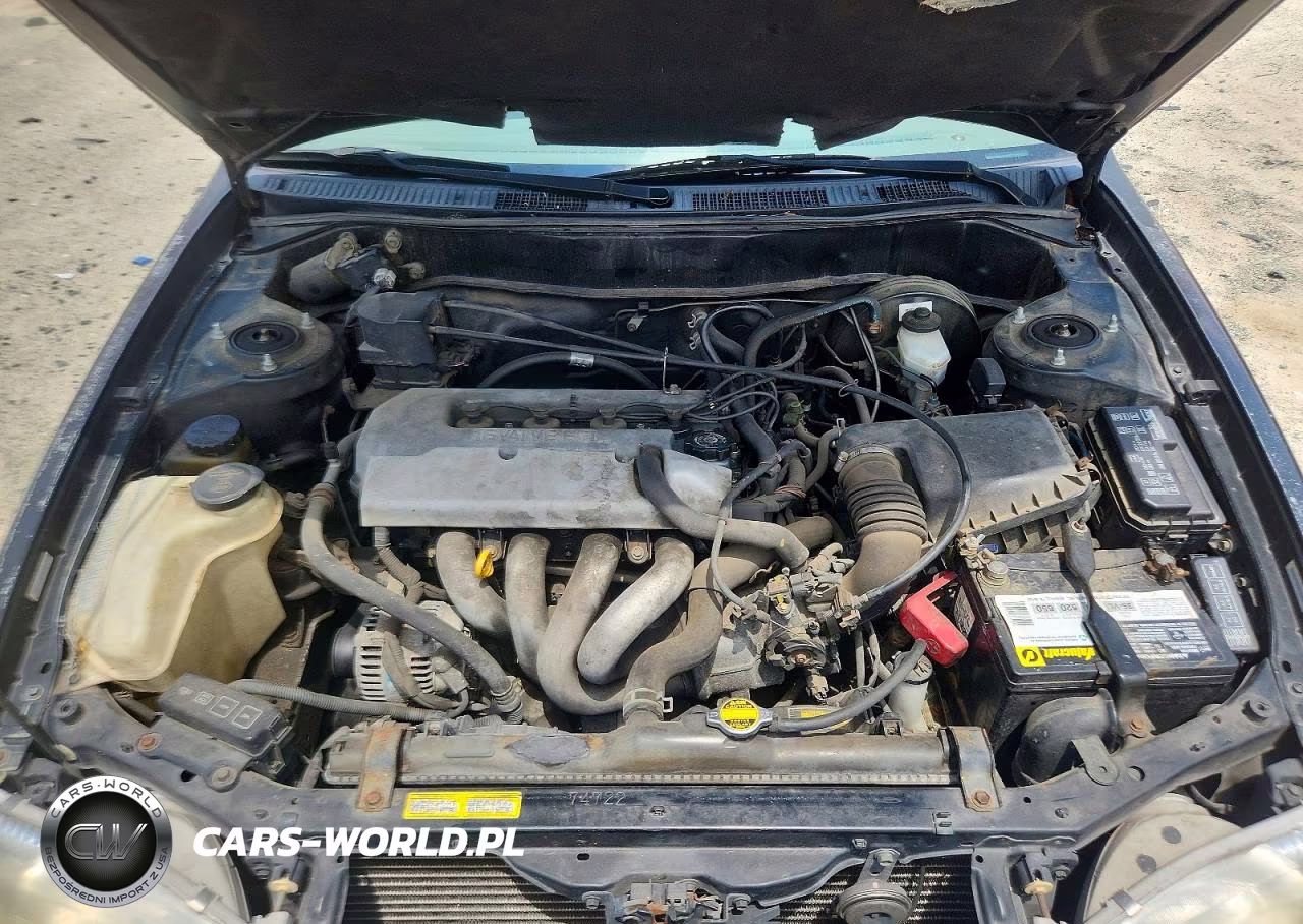 1999 Toyota Corolla Ve VIN:2T1BR12E9XC245392 - 11