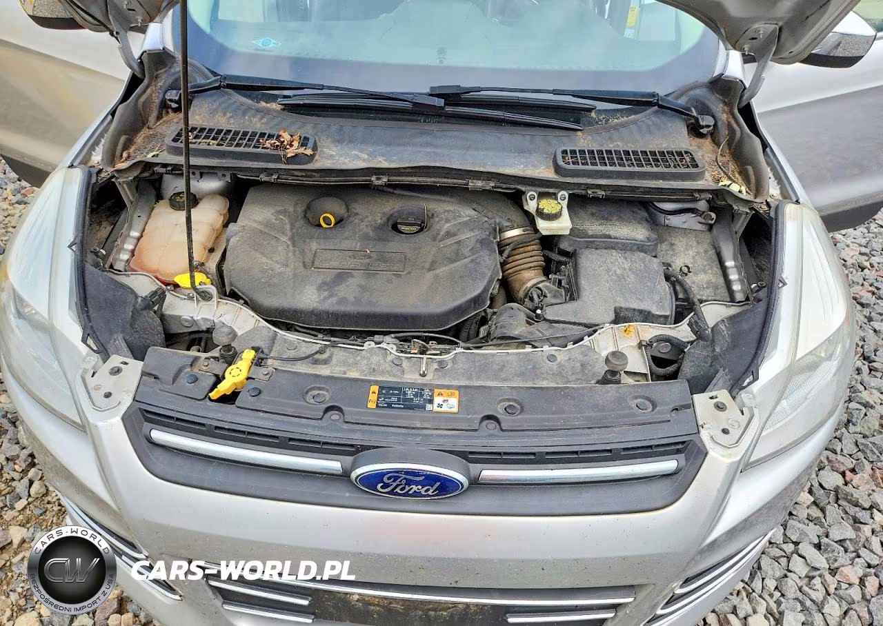 2014 Ford Escape Se VIN:1FMCU9G94EUC59998 - 12