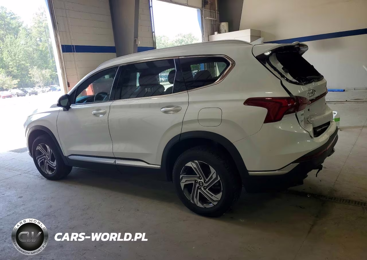 2021 Hyundai Santa Fe Sel VIN:5NMS3DAJ7MH358166 - 2