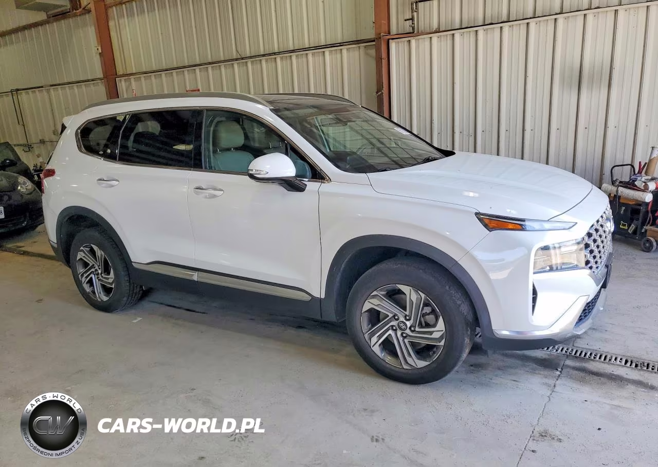 2021 Hyundai Santa Fe Sel VIN:5NMS3DAJ7MH358166 - 4