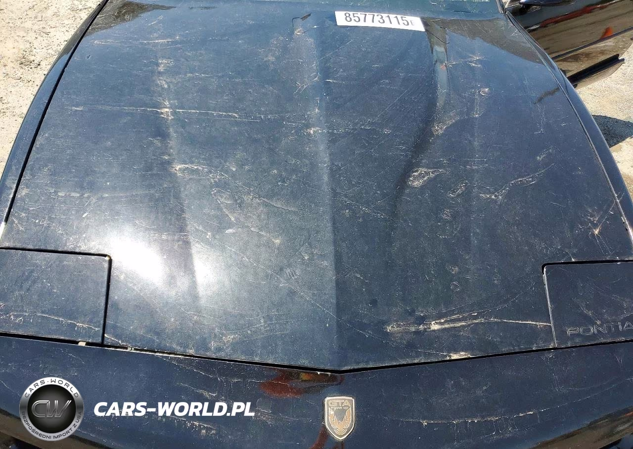 1991 Pontiac Firebird Trans Am VIN:1G2FW23F2ML230569 - 11