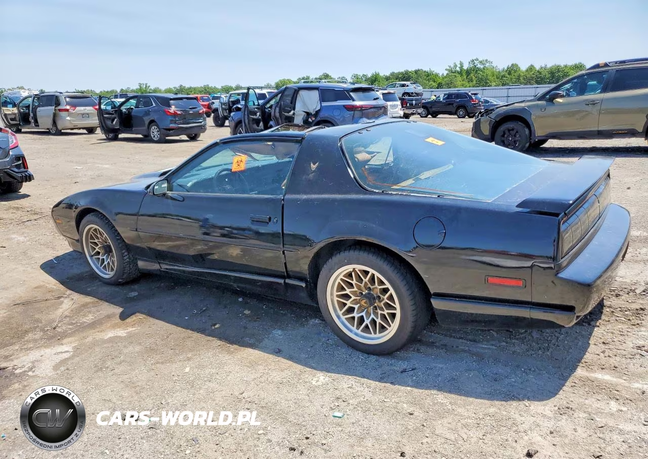 1991 Pontiac Firebird Trans Am VIN:1G2FW23F2ML230569 - 2