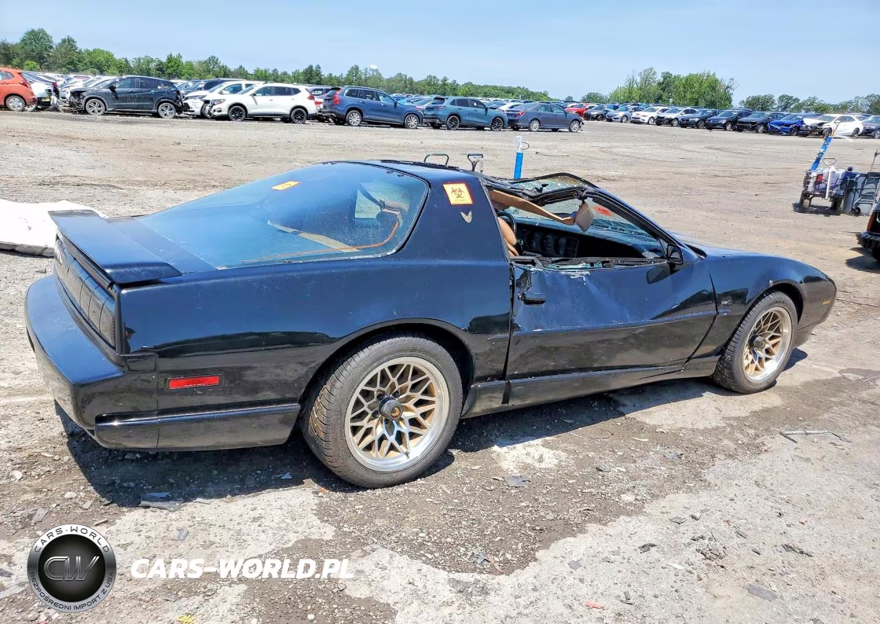 1991 Pontiac Firebird Trans Am VIN:1G2FW23F2ML230569 - 3