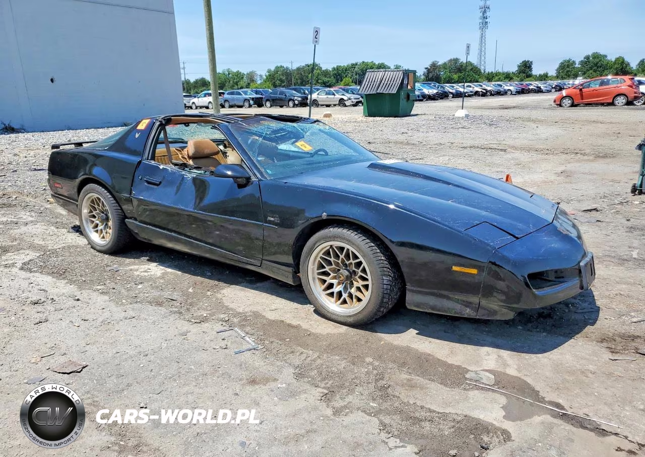 1991 Pontiac Firebird Trans Am VIN:1G2FW23F2ML230569 - 4