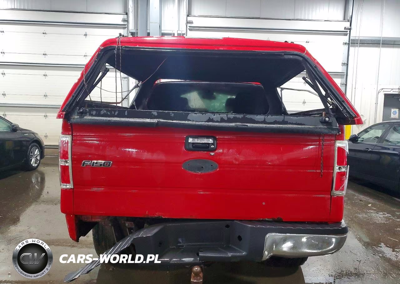 2010 Ford F150 Supercrew VIN:1FTEW1E86AFD33455 - 6