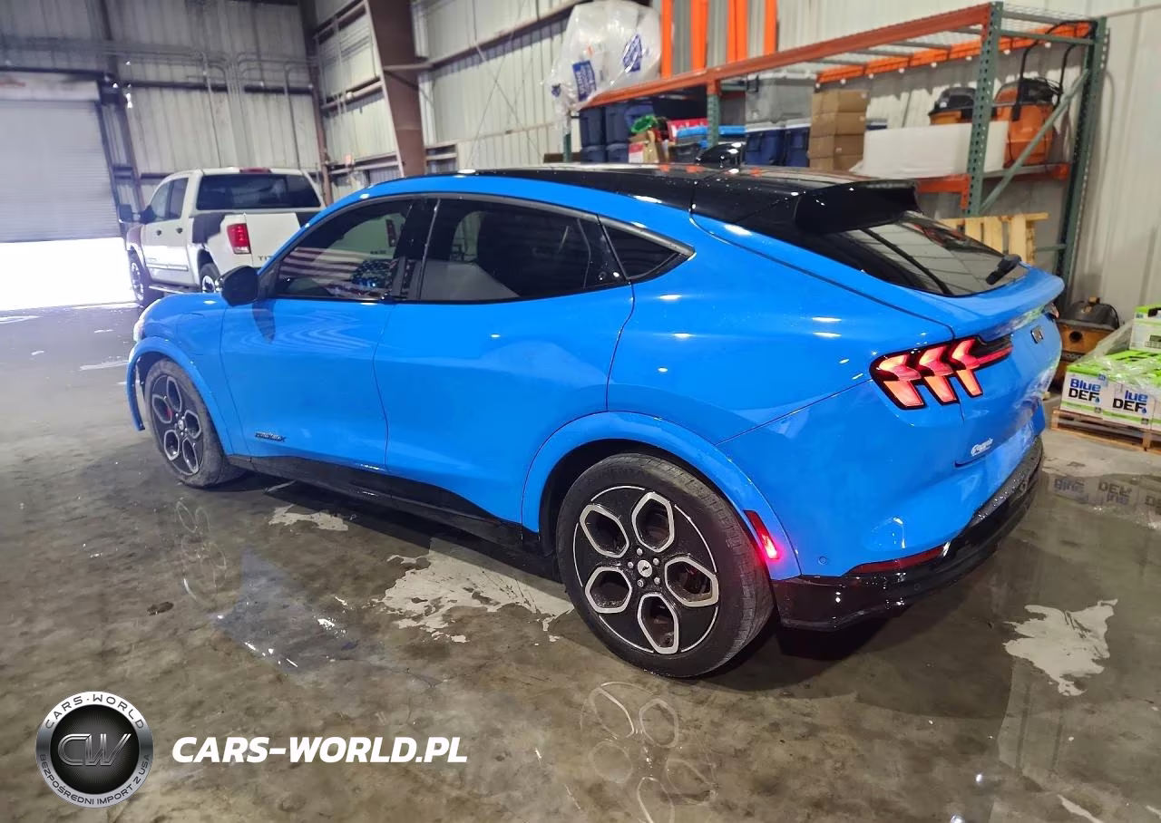 2023 Ford Mustang Mach-E Gt VIN:3FMTK4SE4PMA44934 - 2