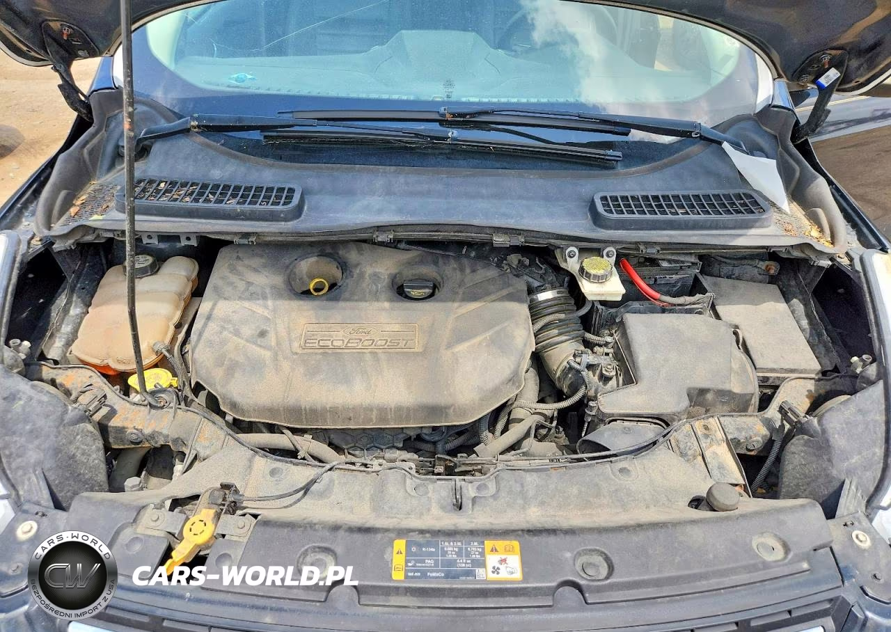 2013 Ford Escape Sel VIN:1FMCU9H99DUC64353 - 12