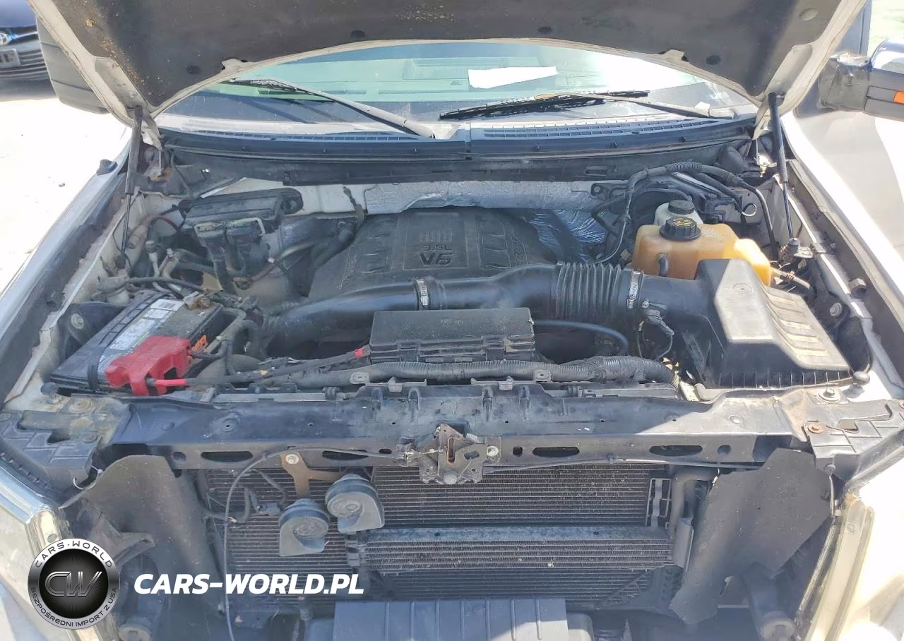 2011 Ford F150 Supercrew VIN:1FTFW1ET4BFC89143 - 11
