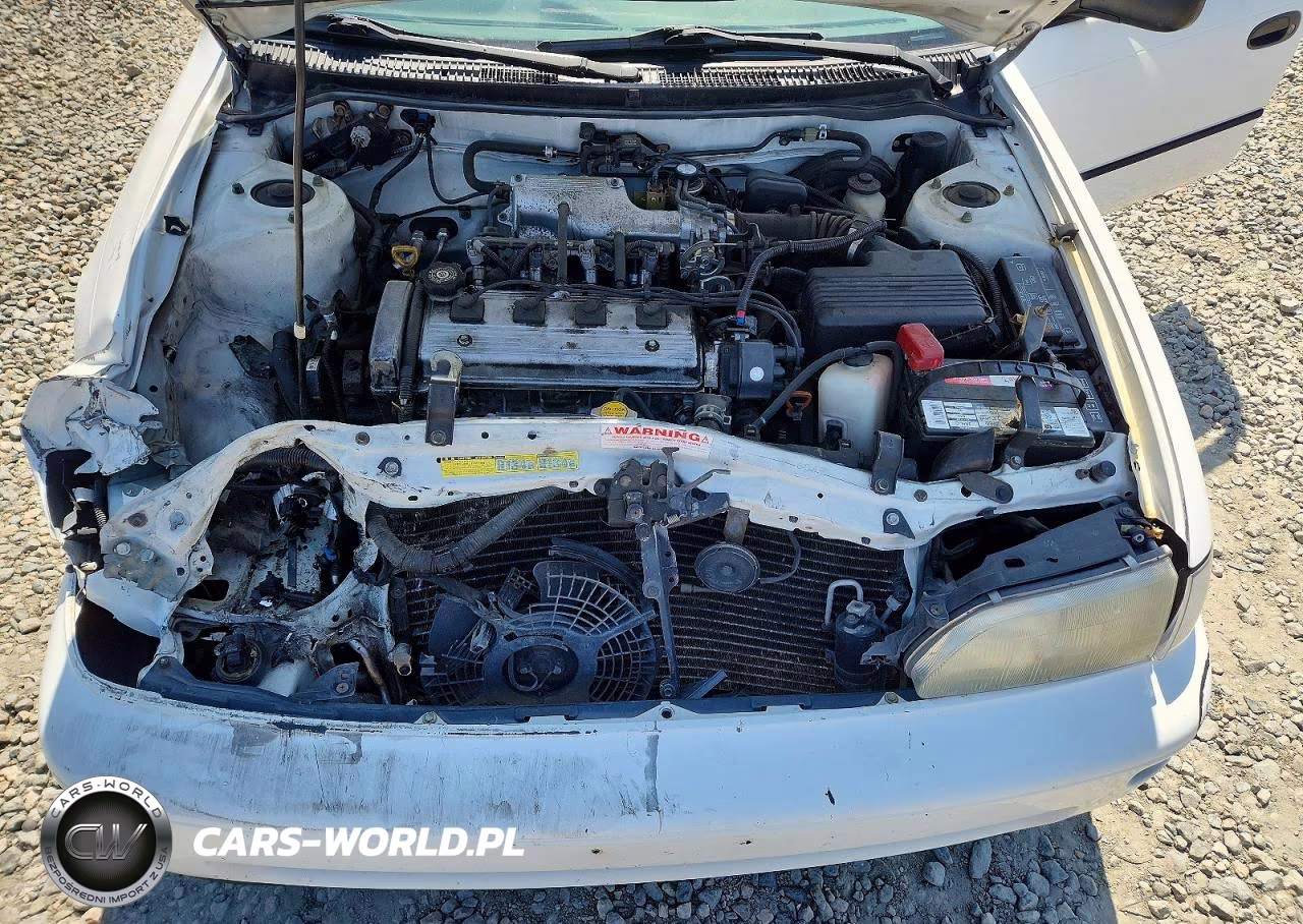 1995 Toyota Corolla Dx VIN:1NXAE09B4SZ242114 - 11