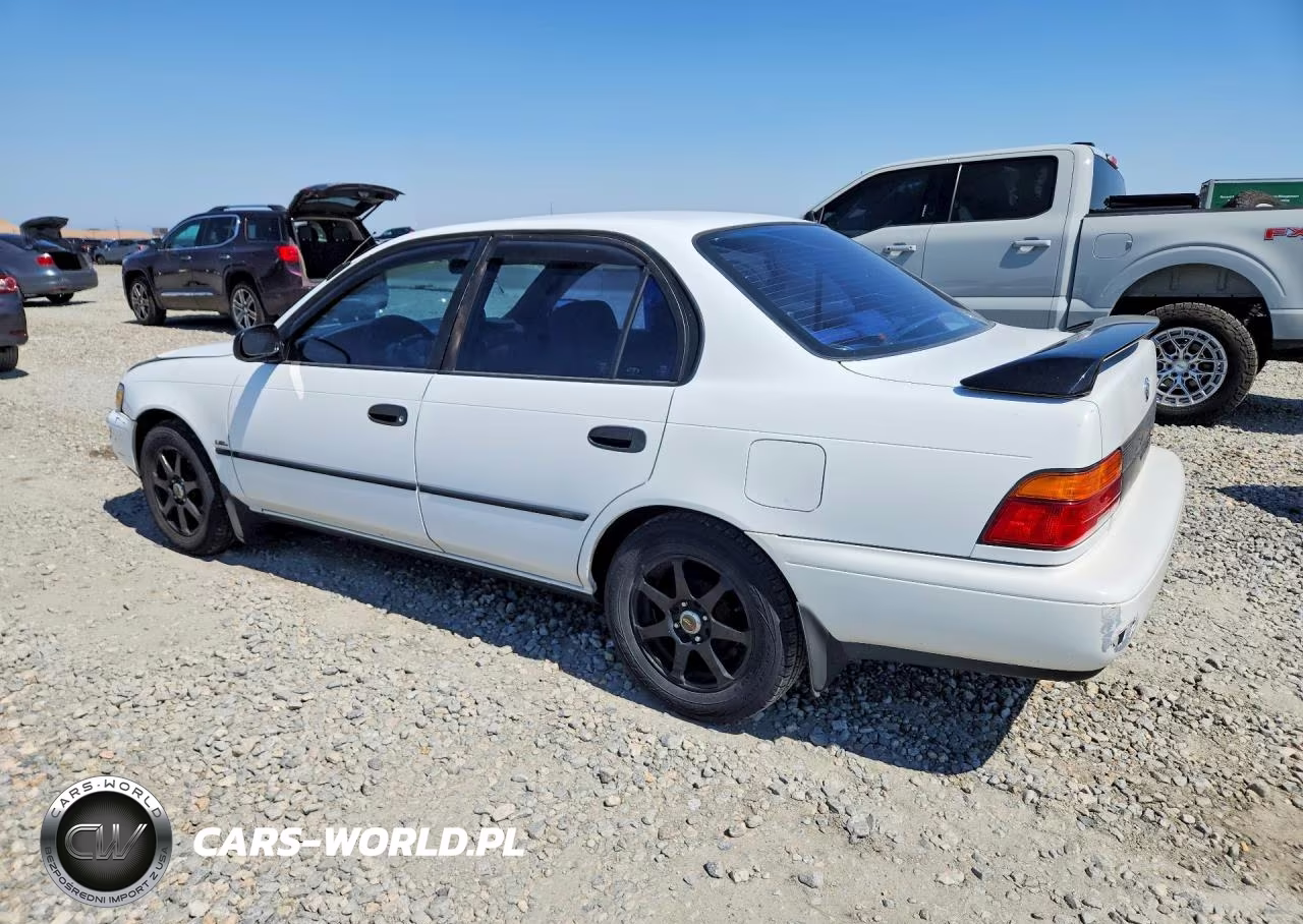 1995 Toyota Corolla Dx VIN:1NXAE09B4SZ242114 - 2
