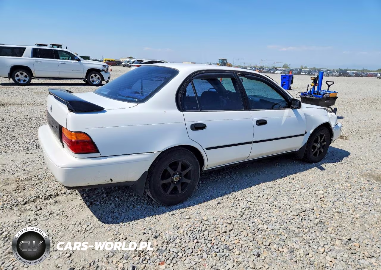 1995 Toyota Corolla Dx VIN:1NXAE09B4SZ242114 - 3