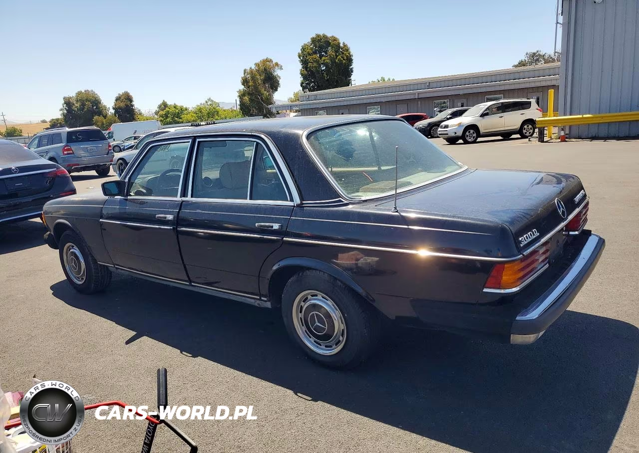 1982 Mercedes-Benz 300 Dt VIN:WDBAB33A3CB013238 - 2