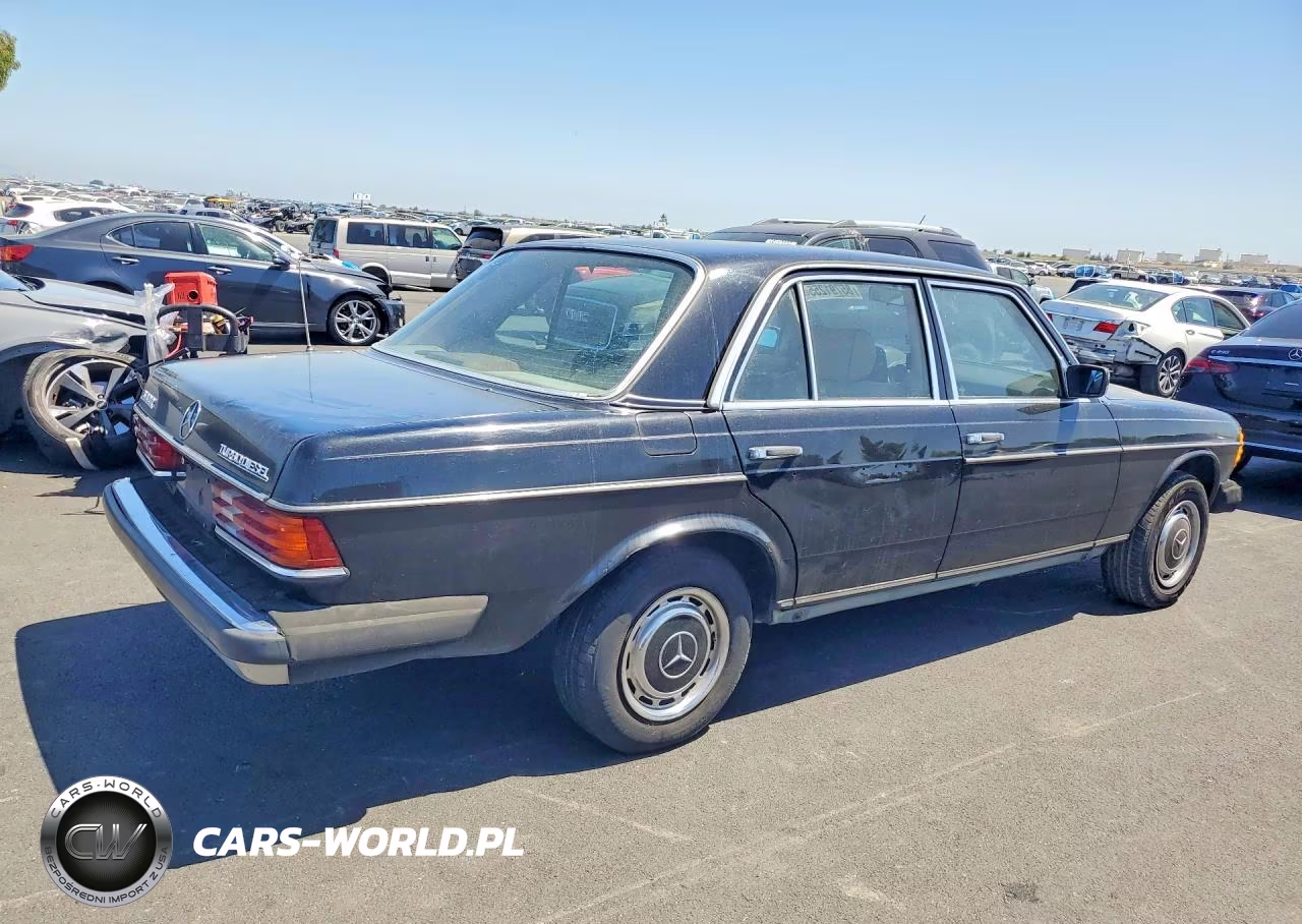 1982 Mercedes-Benz 300 Dt VIN:WDBAB33A3CB013238 - 3