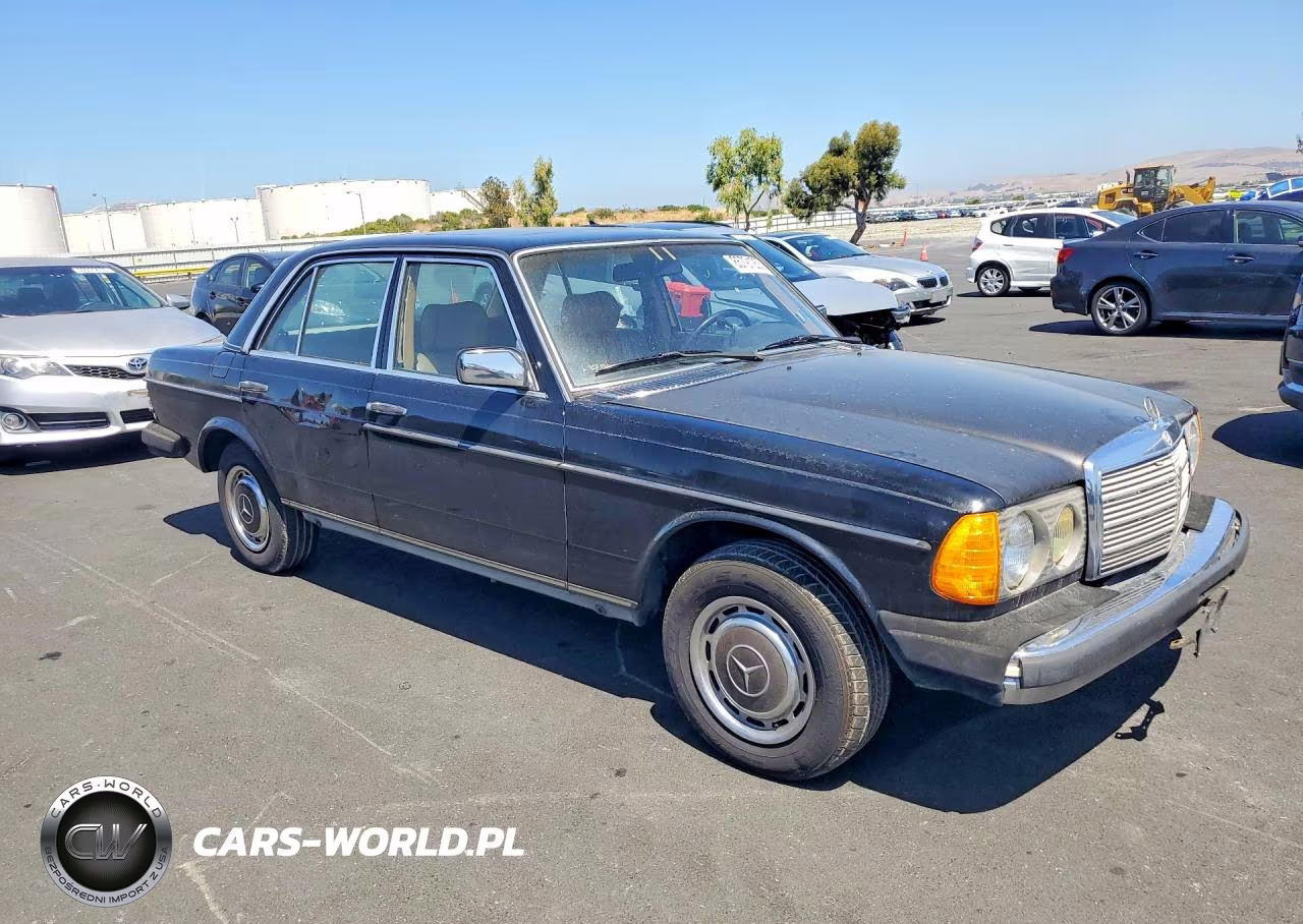 1982 Mercedes-Benz 300 Dt VIN:WDBAB33A3CB013238 - 4