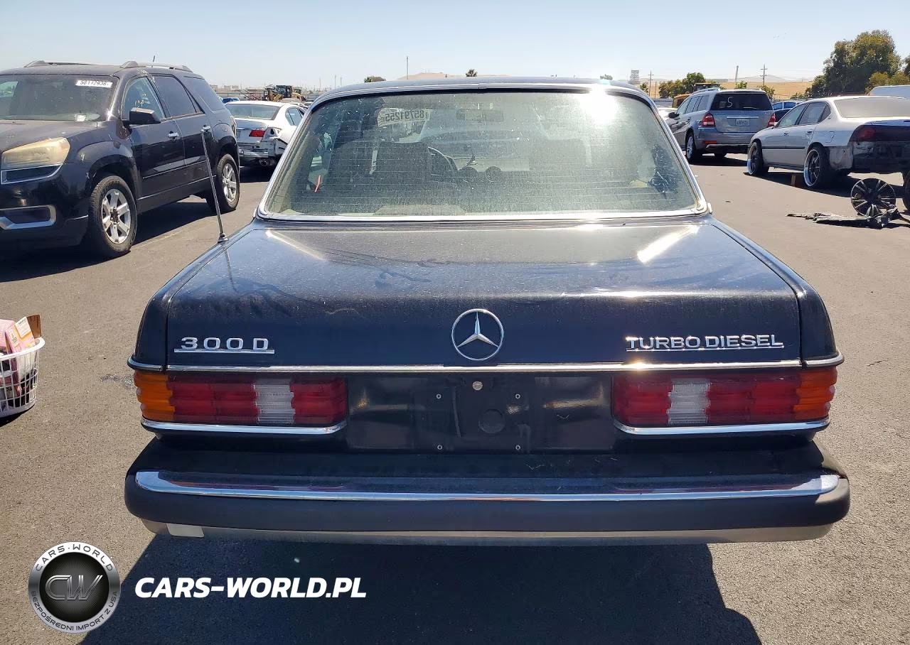 1982 Mercedes-Benz 300 Dt VIN:WDBAB33A3CB013238 - 6