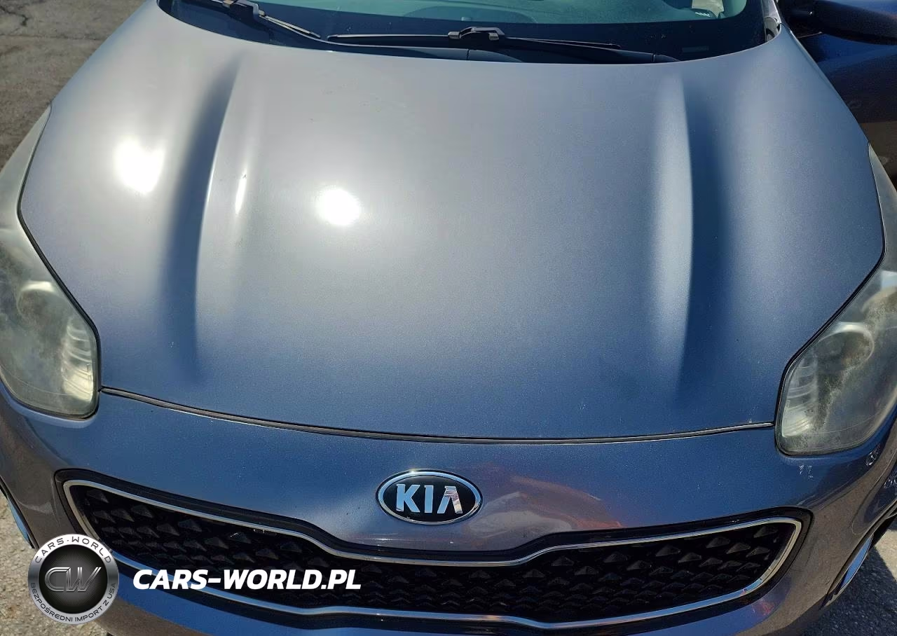 2018 Kia Sportage Lx VIN:KNDPMCAC8J7379075 - 12