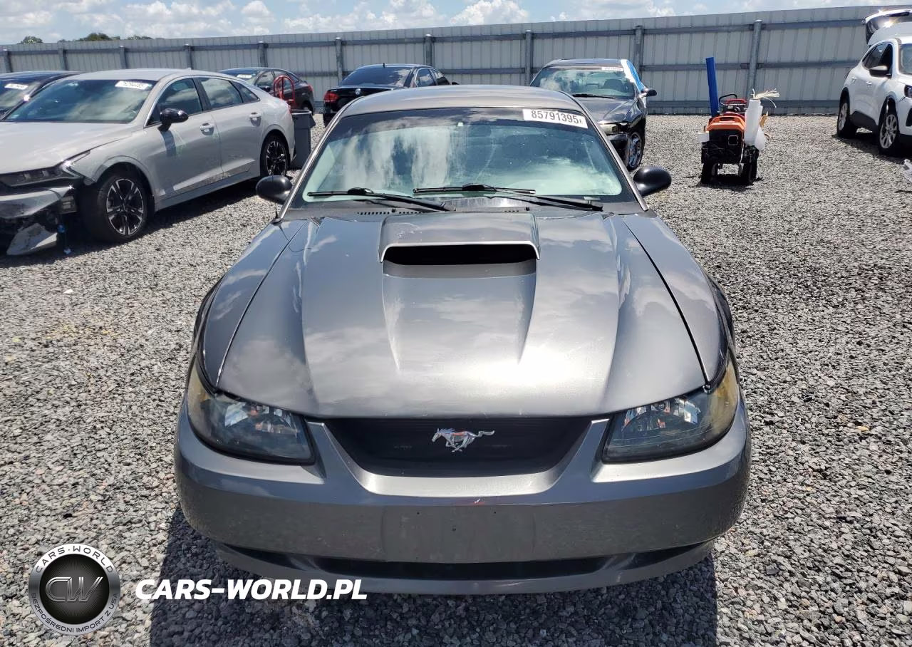 2003 Ford Mustang VIN:1FAFP40423F403467 - 5
