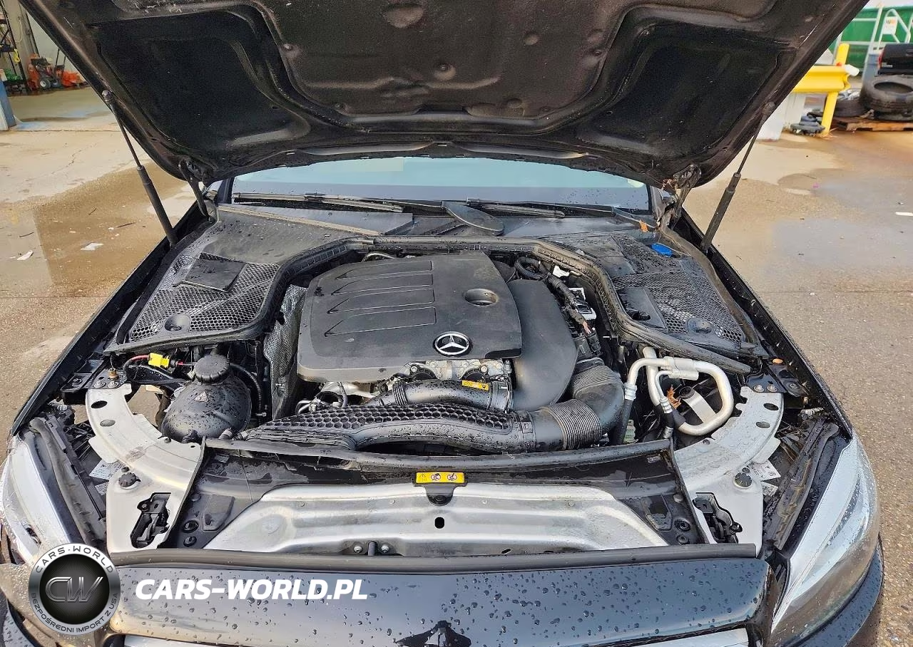 2019 Mercedes-Benz C 300 VIN:55SWF8DBXKU318102 - 11