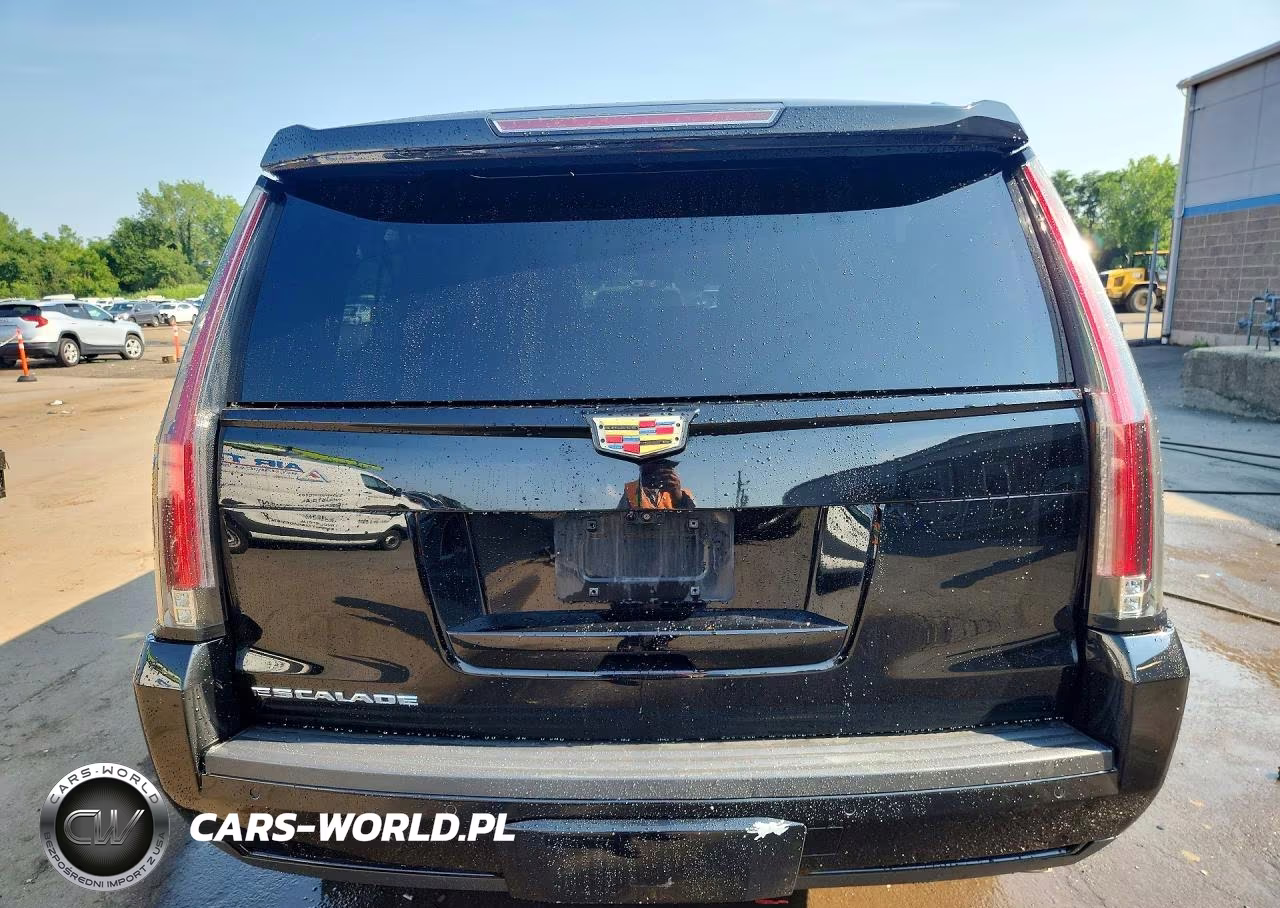 2018 Cadillac Escalade Esv Luxury VIN:1GYS4HKJ1JR209160 - 6