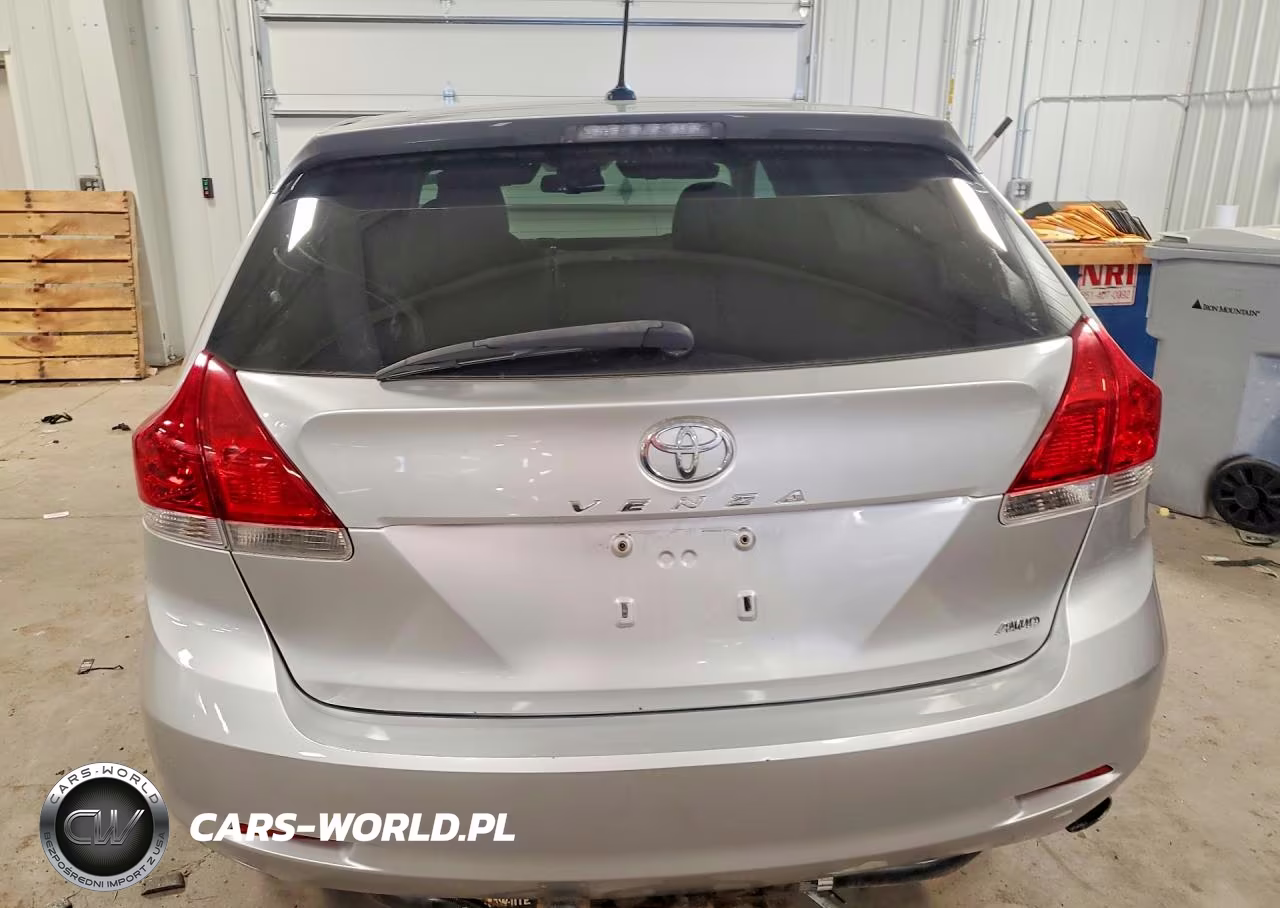 2009 Toyota Venza Awd 4Cyl VIN:4T3BE11A29U005359 - 6
