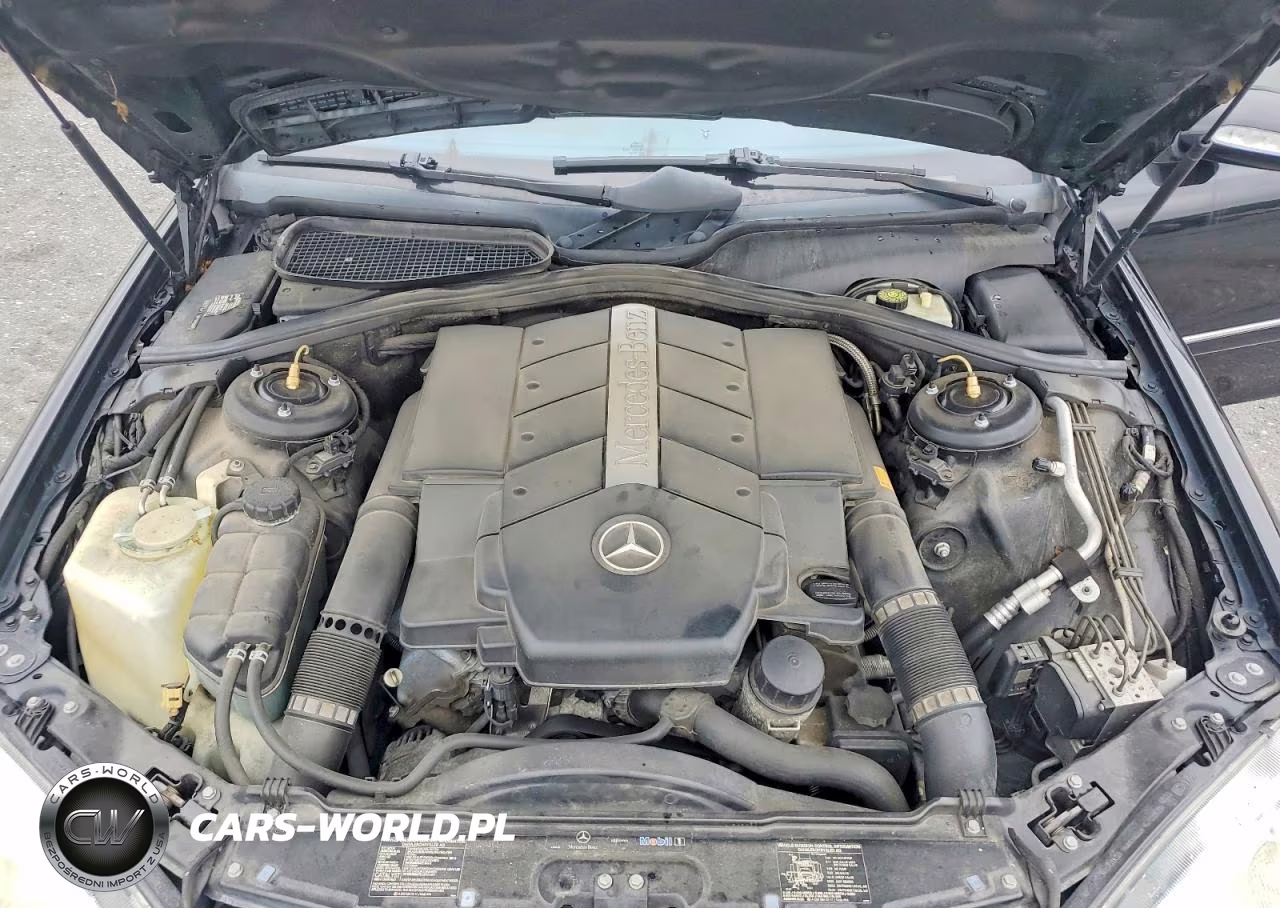 2004 Mercedes-Benz S 430 VIN:WDBNG70J44A391266 - 11