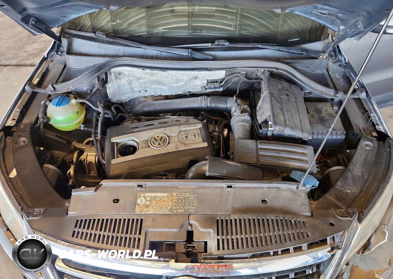 2009 Volkswagen Tiguan VIN:WVGAV75N29W000512 - 11
