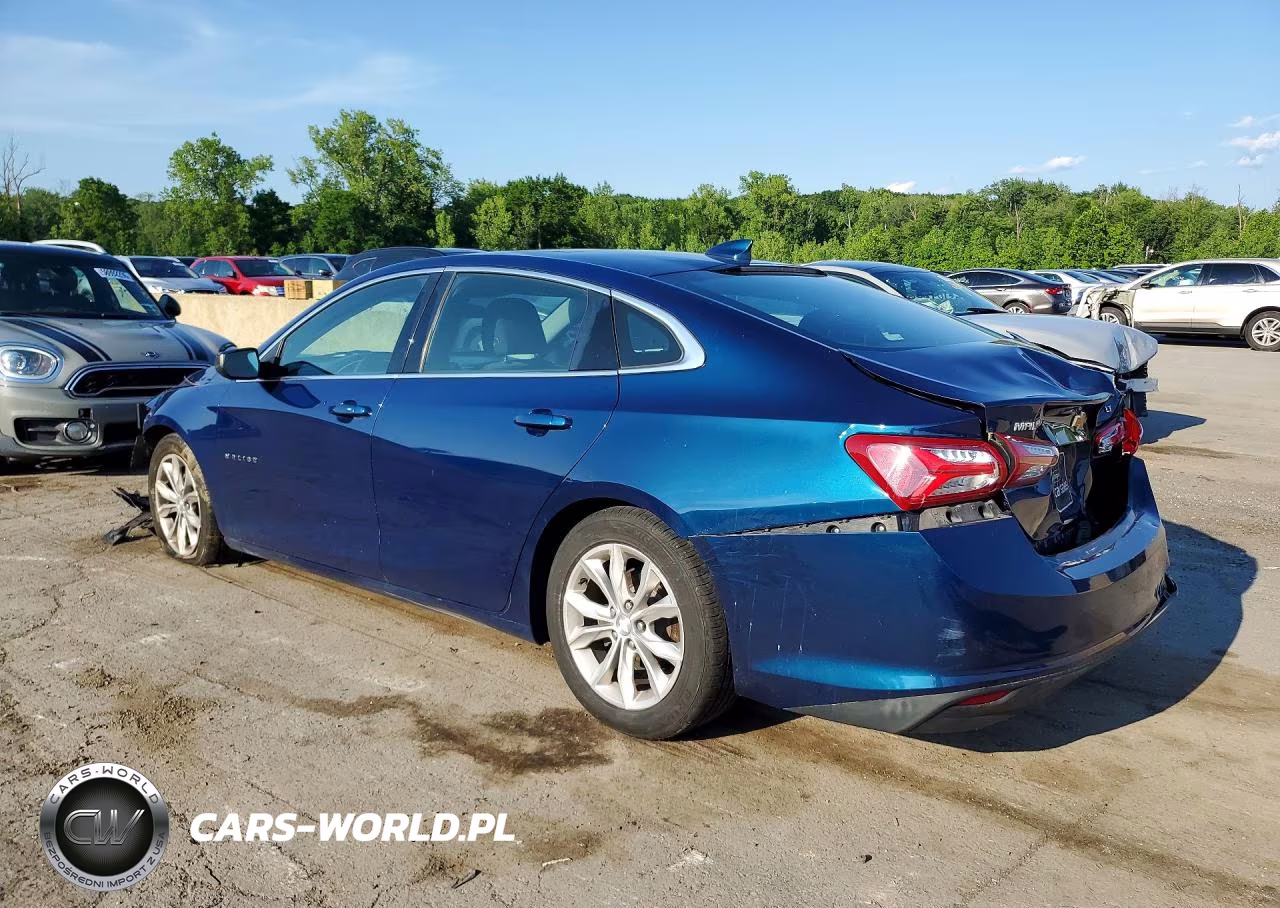 2019 Chevrolet Malibu Lt VIN:1G1ZD5STXKF142123 - 2