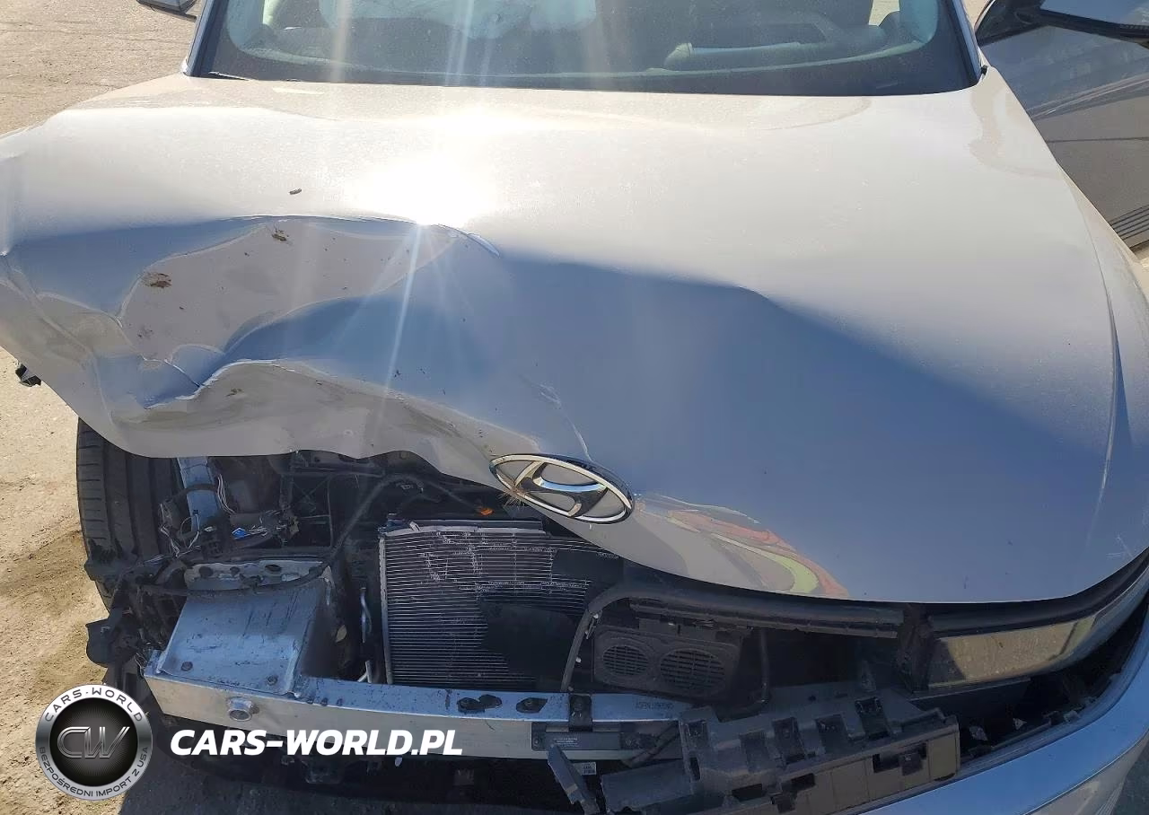 2022 Hyundai Ioniq 5 Limited VIN:KM8KRDAF2NU079904 - 11