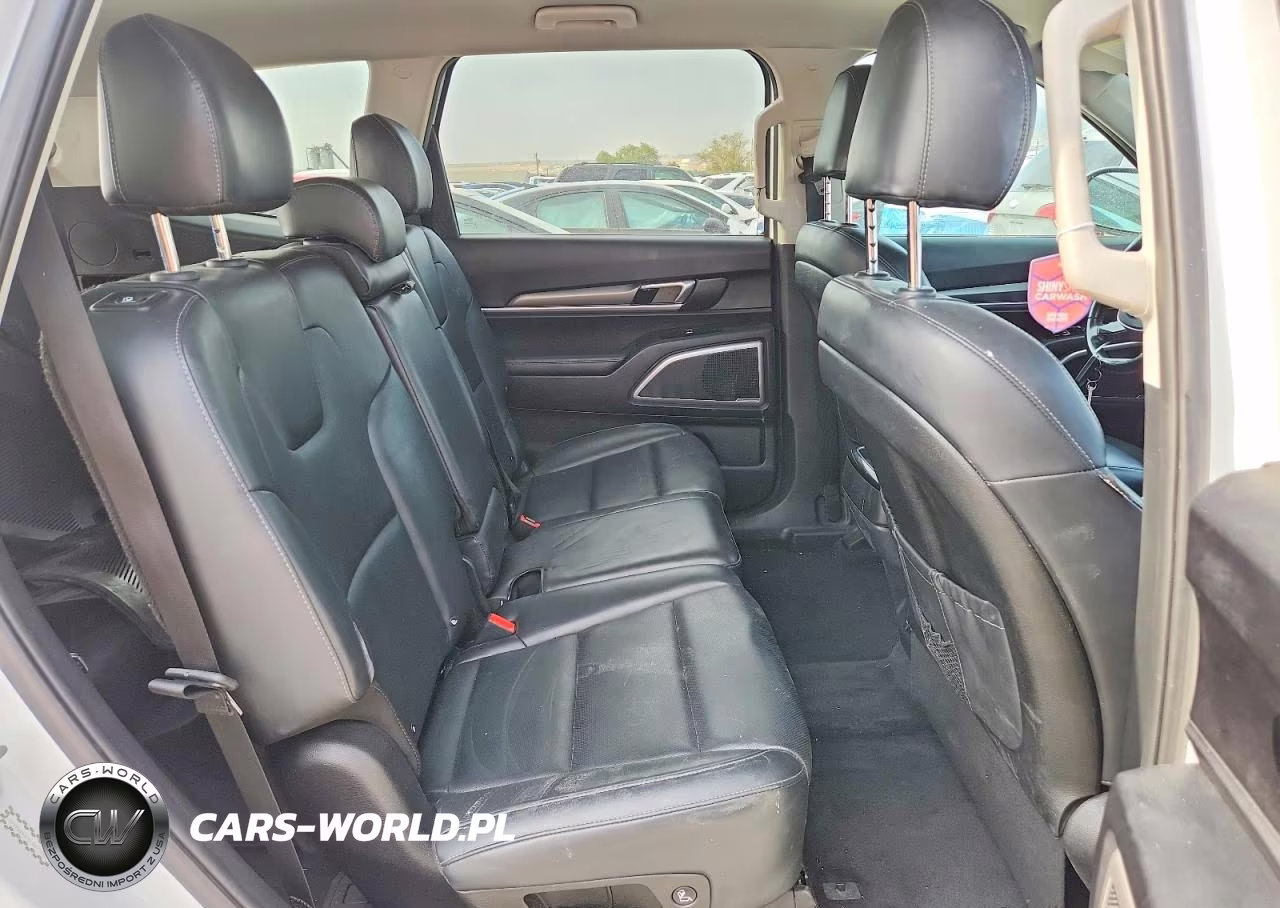 2020 Kia Telluride Lx VIN:5XYP2DHC9LG079021 - 10