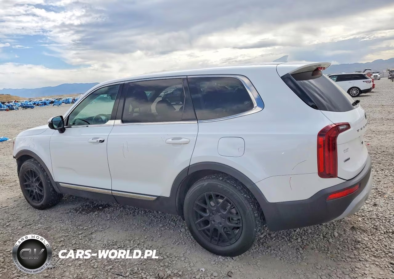 2020 Kia Telluride Lx VIN:5XYP2DHC9LG079021 - 2