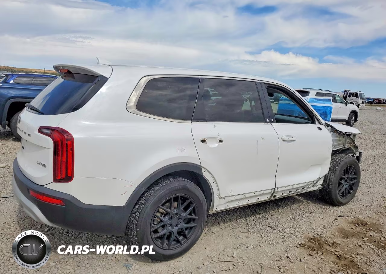 2020 Kia Telluride Lx VIN:5XYP2DHC9LG079021 - 3