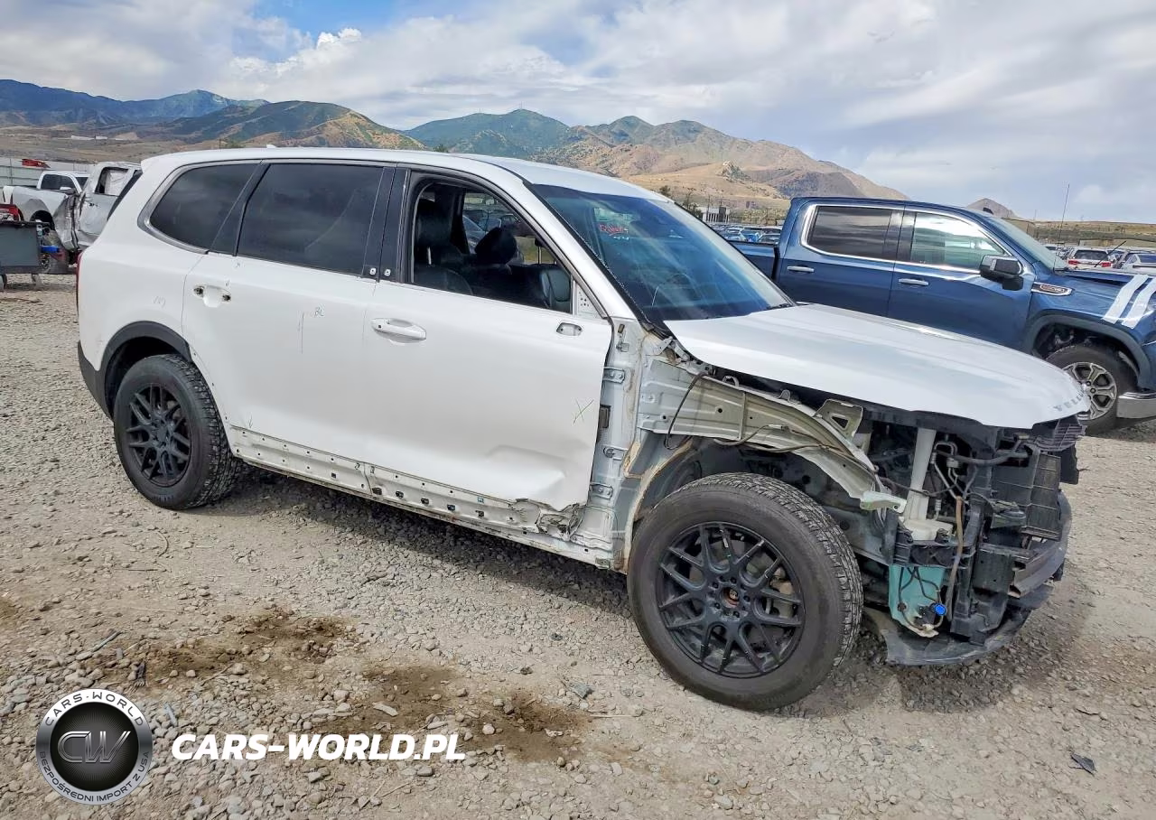 2020 Kia Telluride Lx VIN:5XYP2DHC9LG079021 - 4