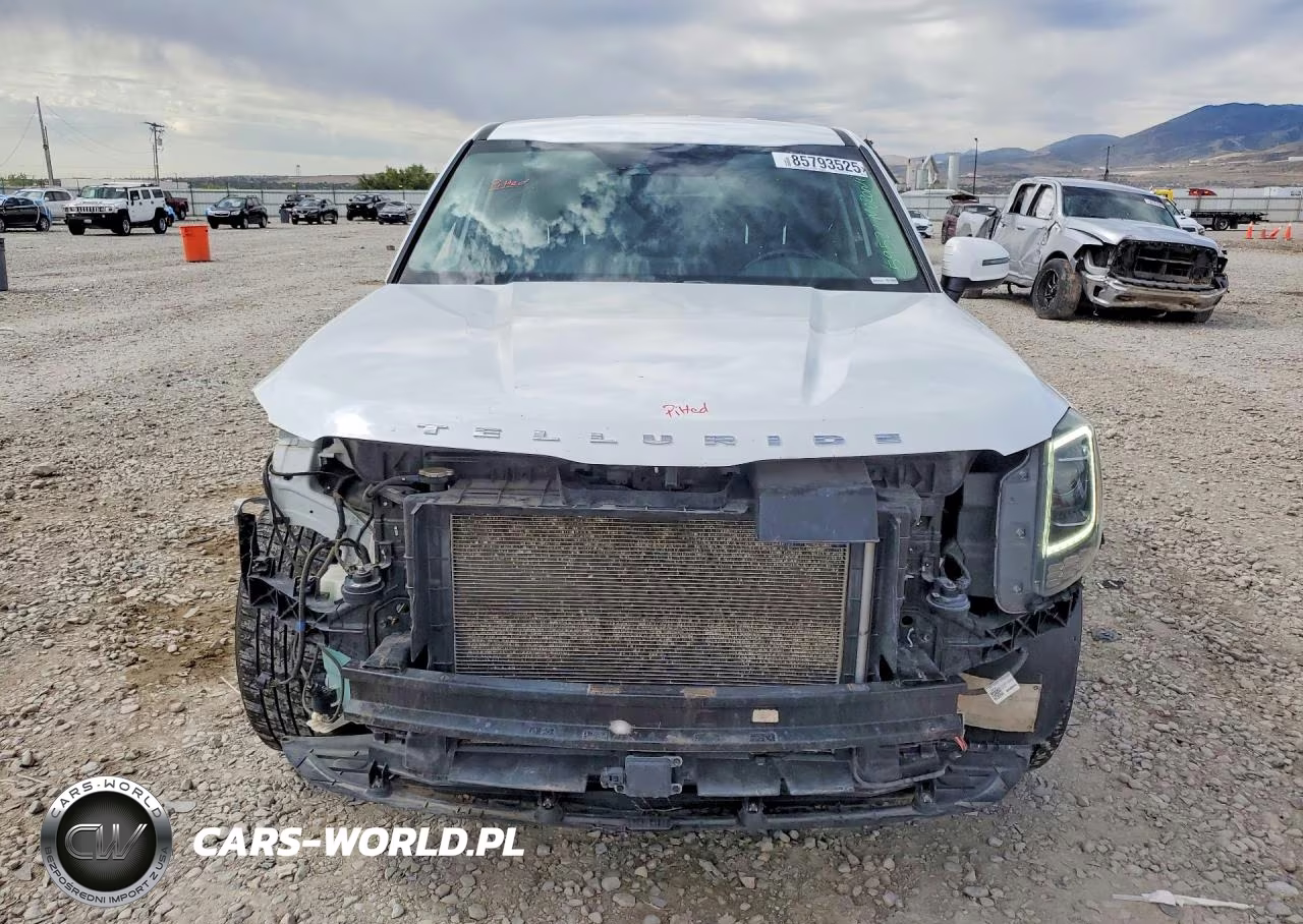 2020 Kia Telluride Lx VIN:5XYP2DHC9LG079021 - 5