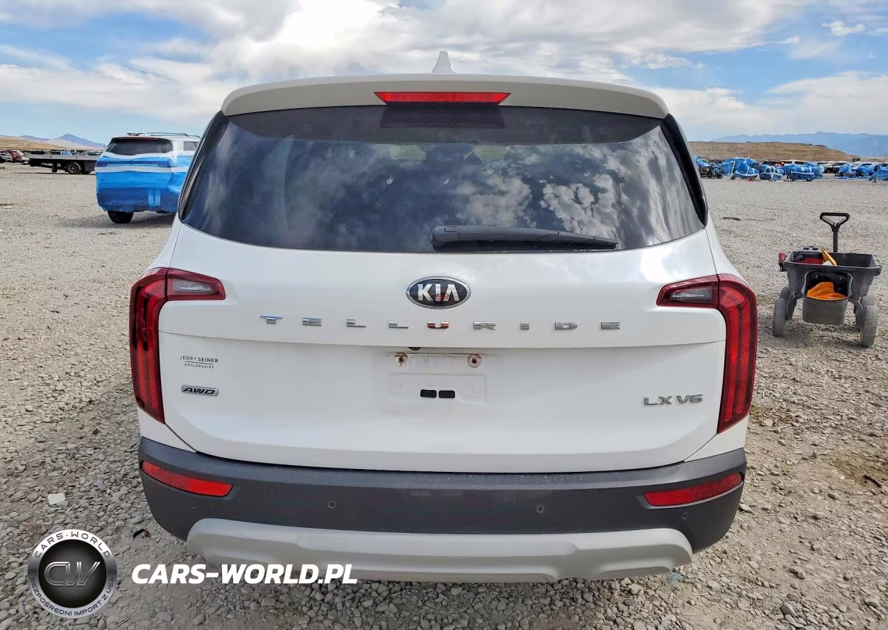 2020 Kia Telluride Lx VIN:5XYP2DHC9LG079021 - 6
