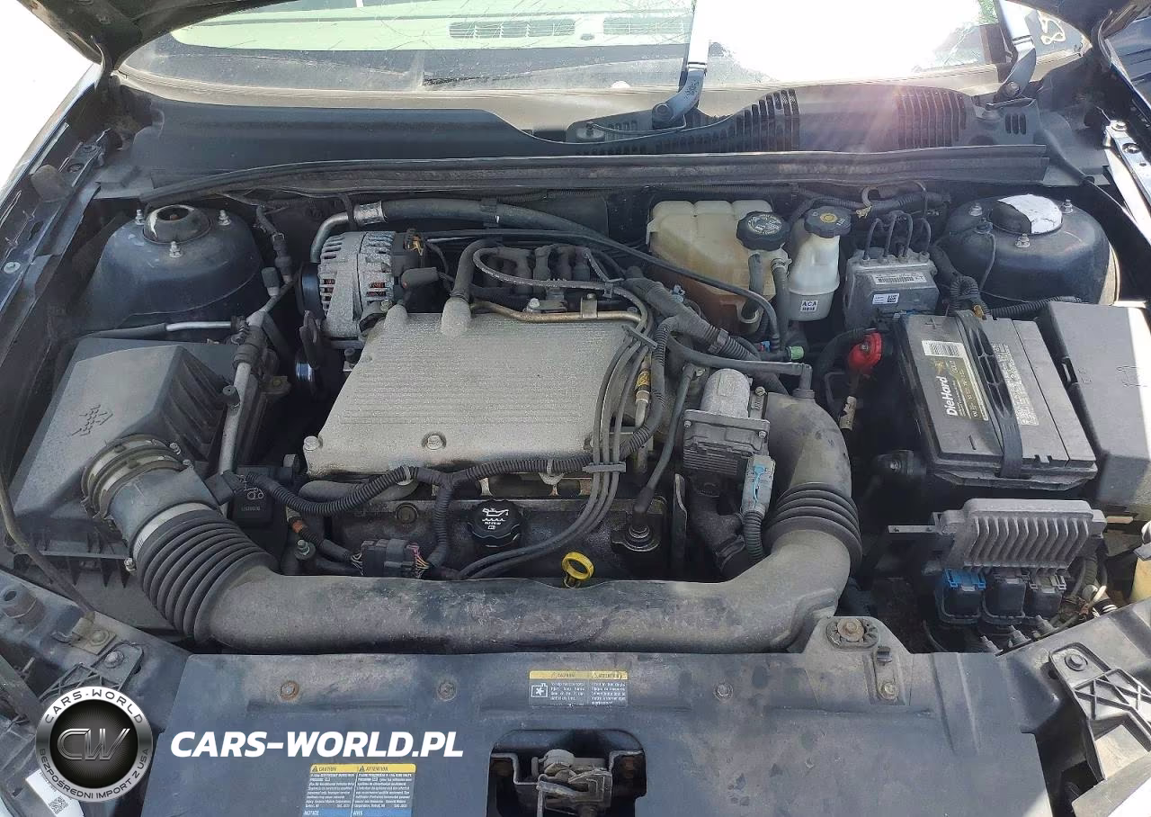 2004 Chevrolet Malibu Maxx Ls VIN:1G1ZT64844F212316 - 11