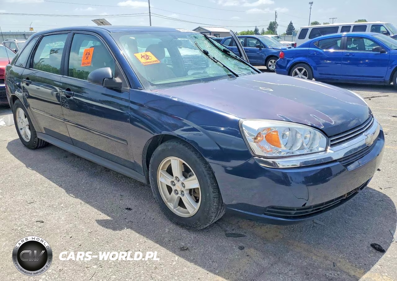 2004 Chevrolet Malibu Maxx Ls VIN:1G1ZT64844F212316 - 4