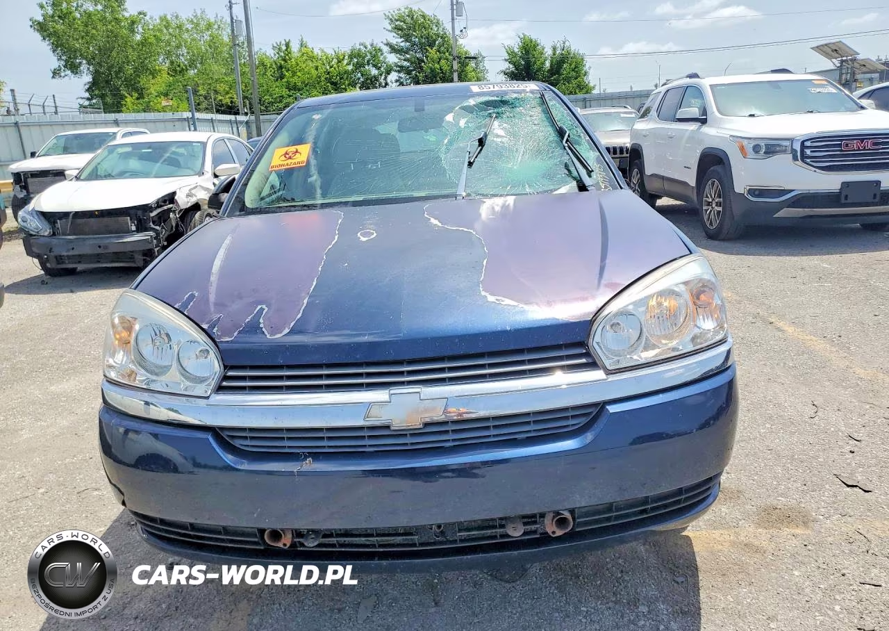 2004 Chevrolet Malibu Maxx Ls VIN:1G1ZT64844F212316 - 5
