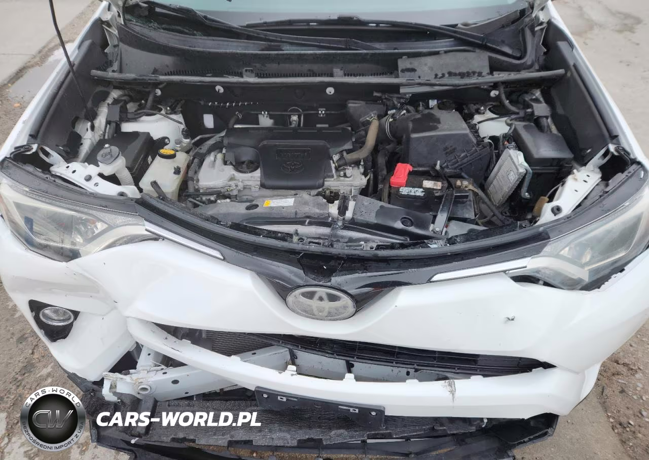2017 Toyota Rav4 Xle VIN:2T3RFREV5HW564233 - 12