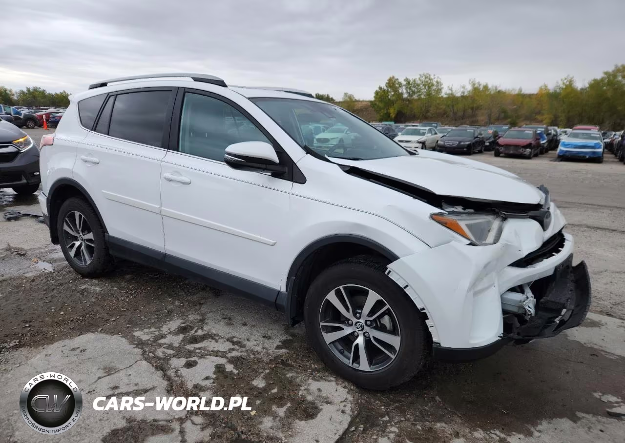 2017 Toyota Rav4 Xle VIN:2T3RFREV5HW564233 - 4
