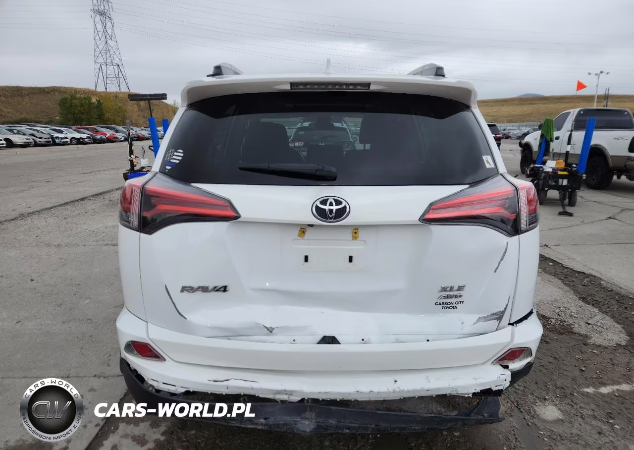 2017 Toyota Rav4 Xle VIN:2T3RFREV5HW564233 - 6
