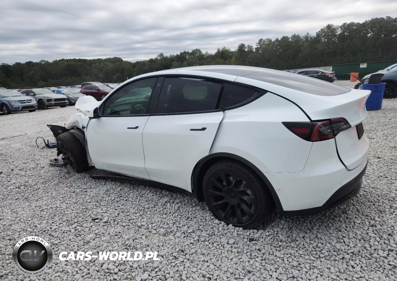 2021 Tesla Model Y VIN:5YJYGAEE0MF299067 - 2