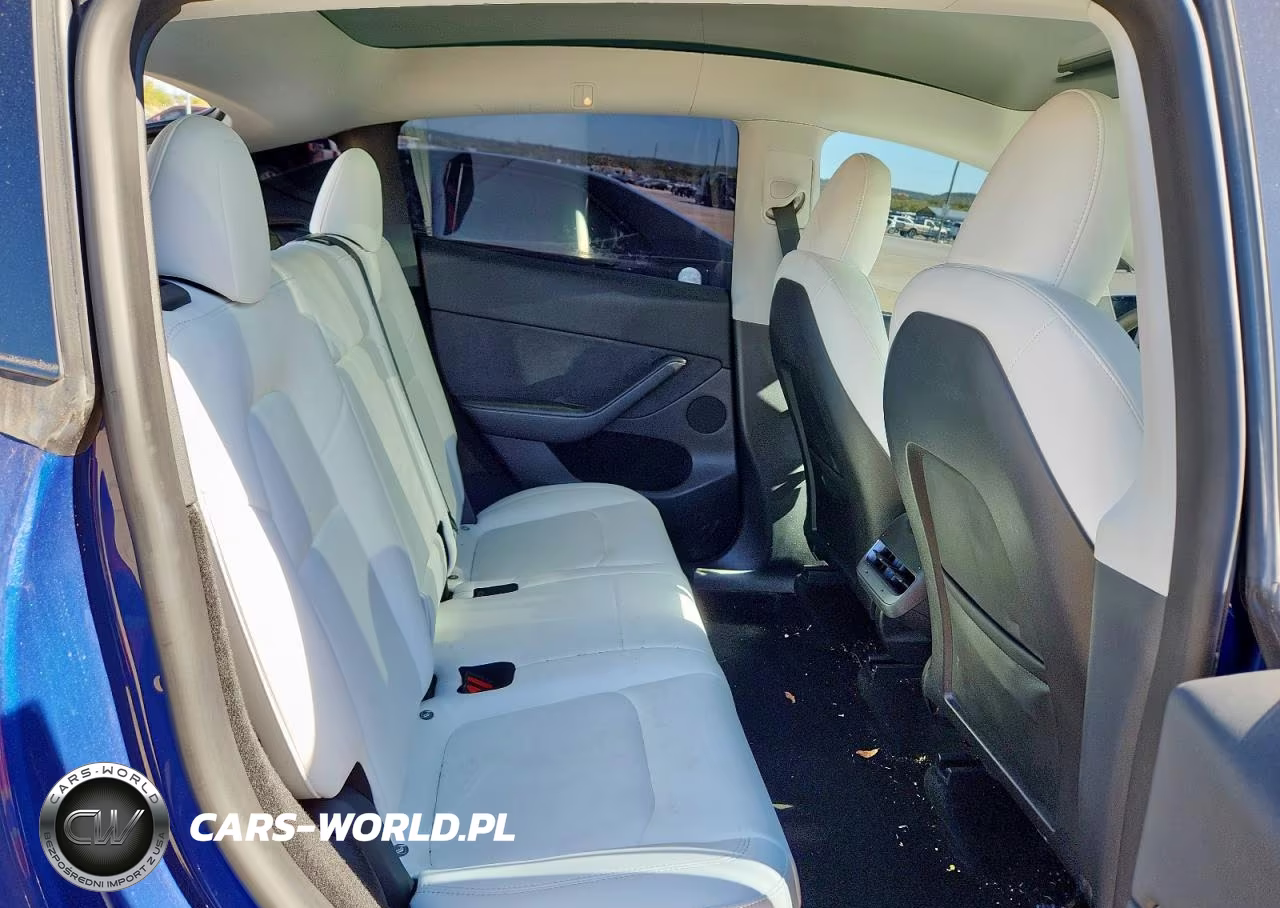 2023 Tesla Model Y VIN:7SAYGDEE1PA080284 - 10