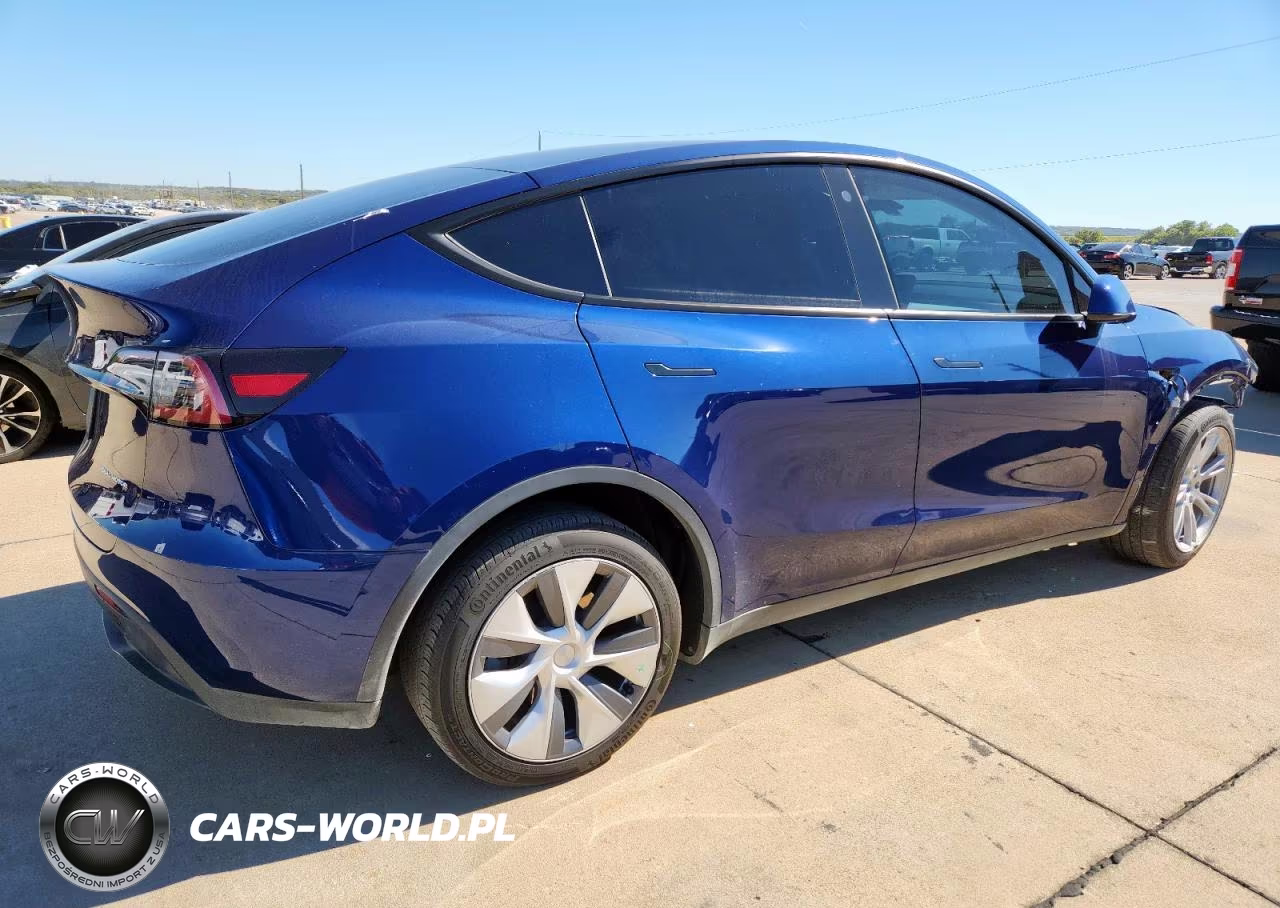 2023 Tesla Model Y VIN:7SAYGDEE1PA080284 - 3