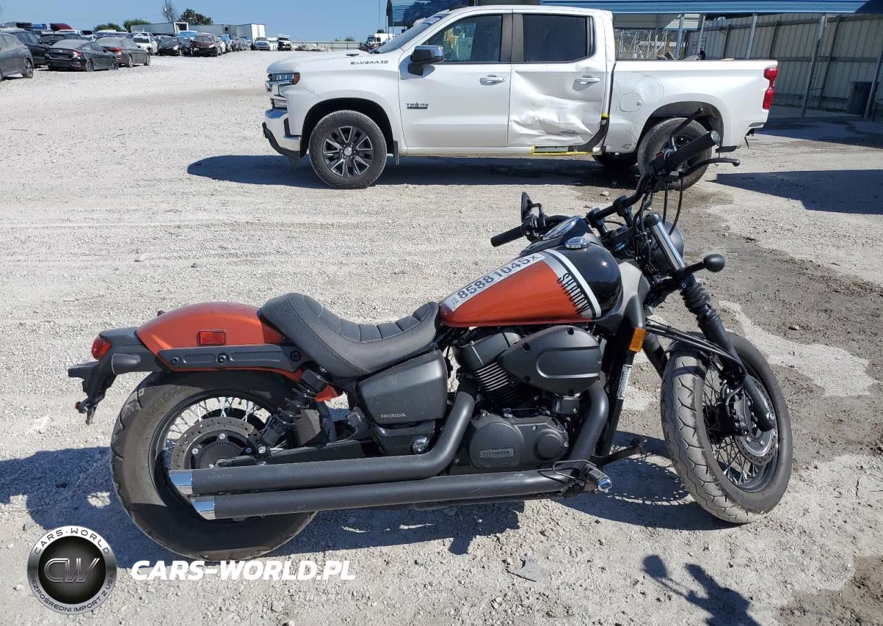 2024 Honda Vt750 C2B